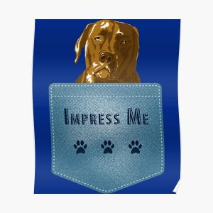 Impress Me. Dog In Your Pocket   Poster RB1011 product Offical Doginpocket Store