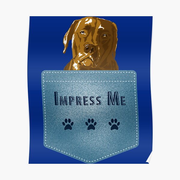 Impress Me. Dog In Your Pocket   Poster RB1011 product Offical Doginpocket Store
