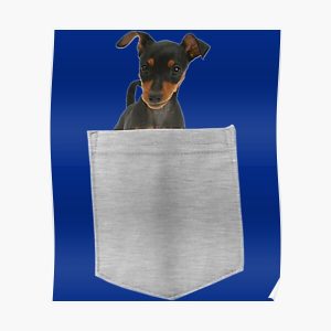 Miniature Pinscher Dog In Your Pocket  Long Sleeve  Poster RB1011 product Offical Doginpocket Store